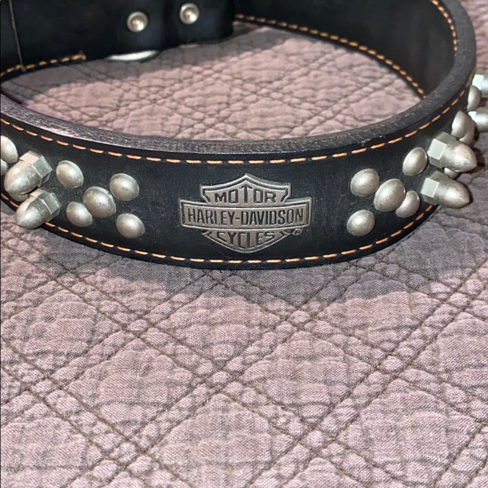 Harley Davidson Dog Collar Never Used